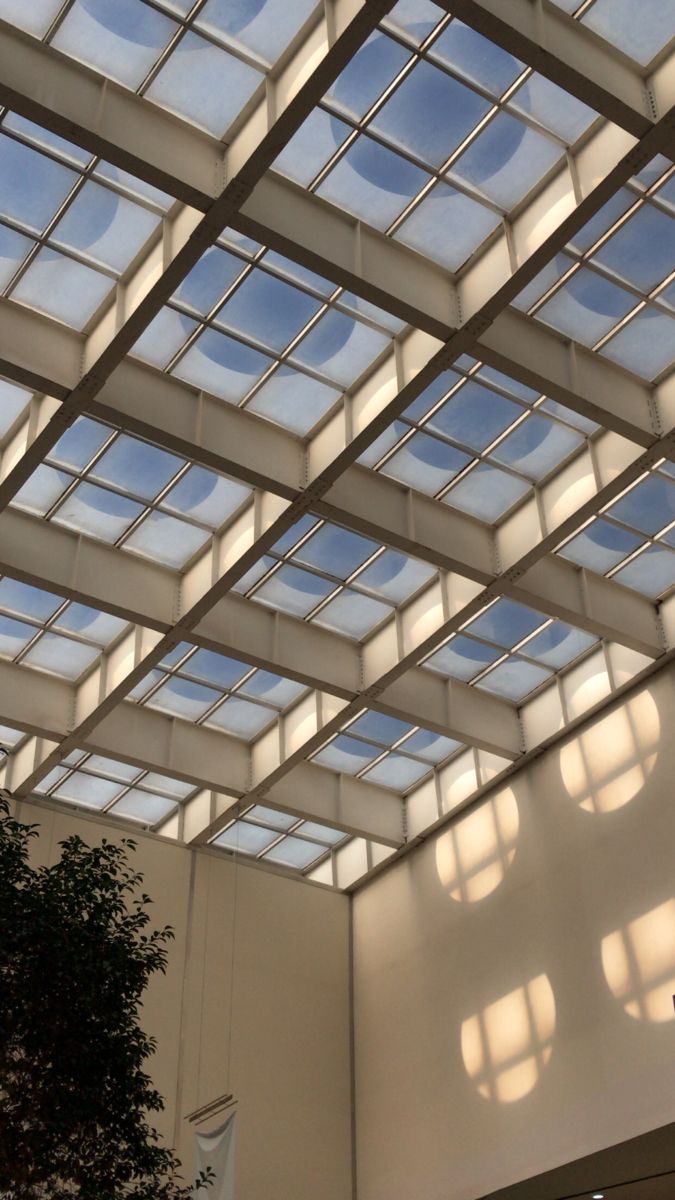 Ceiling Type Below the Roof for skylight installation
