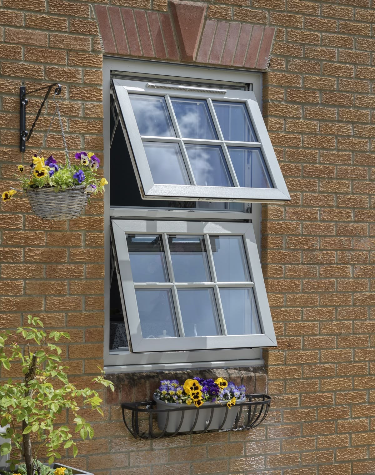 Double Hung Windows